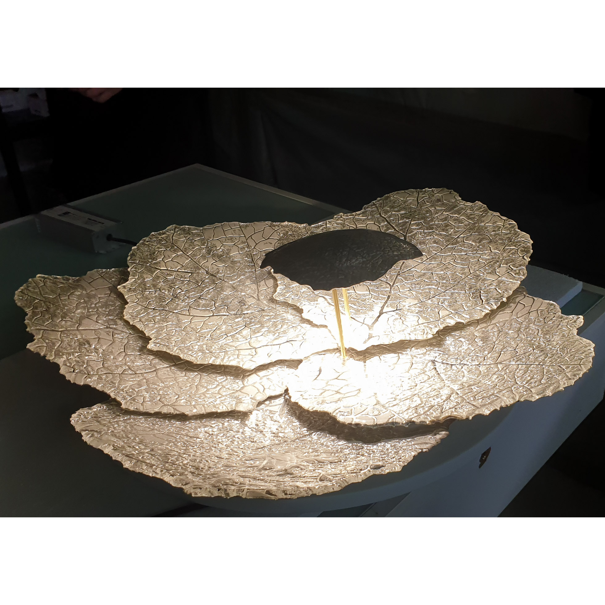 Cabbage - Image 3